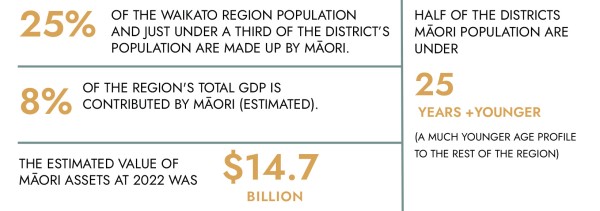 Maori Economy Statistics