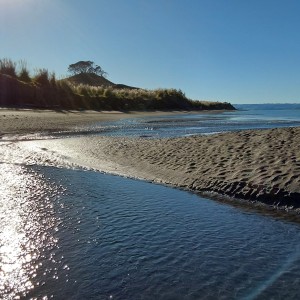KĀWHIA BEACH ACCESS - WHAT IS GOING ON?