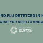 BIRD FLU DETECTED IN NEW ZEALAND – WHAT YOU NEED TO KNOW