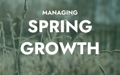 Managing the spring growth