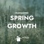 Managing the spring growth