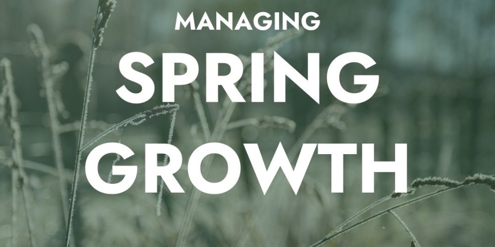 Managing the spring growth