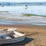 Kāwhia water disruption - we are investigating