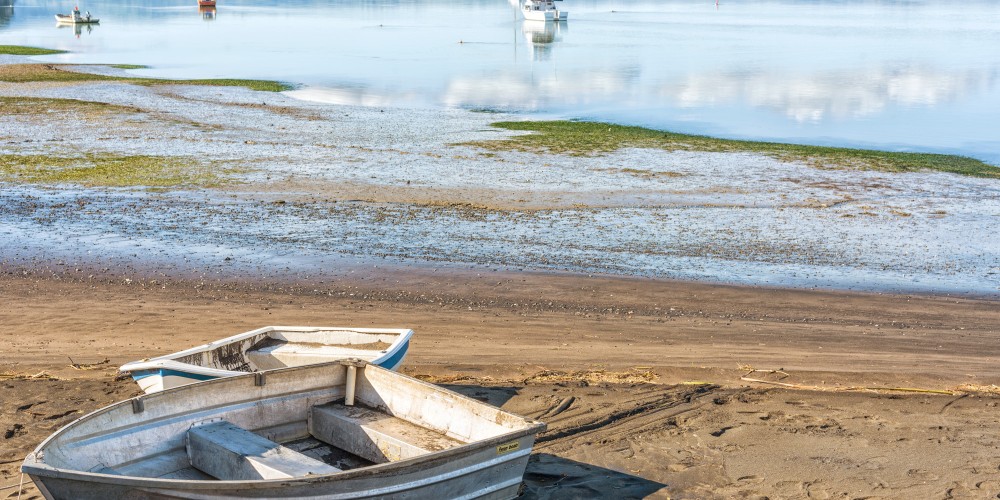 Kāwhia water disruption - we are investigating