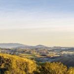PROGRESS RESULT – MĀORI WARD REFERENDUM MEDIA RELEASE