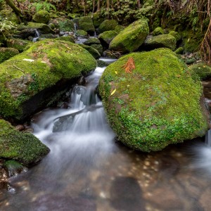 Local Water Done Well - Public Consultation Overview
