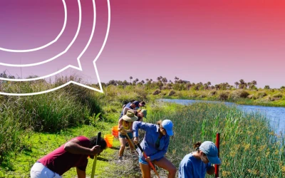 Waipā river (riparian) planting through Ōtorohanga township