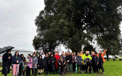 A day of renewal at Huipūtea Reserve