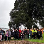 A day of renewal at Huipūtea Reserve