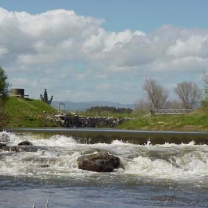 Waikato Water Done Well - Ōtorohanga District Council says yes to progressing a regional model 