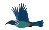 Tui - Bird. 